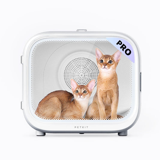 AirSalon Max Pro kutija za sušenje ljubimaca