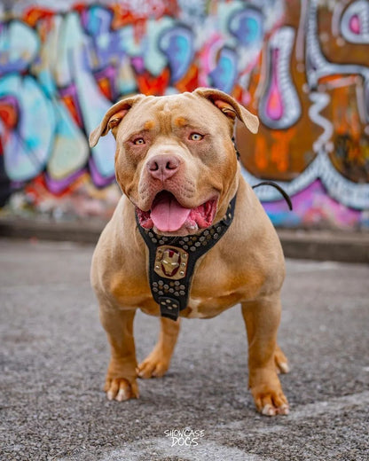 Irondog orma