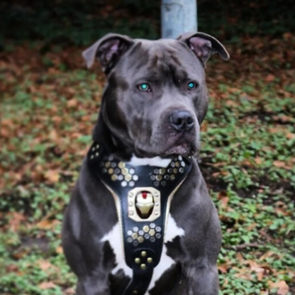 Irondog orma