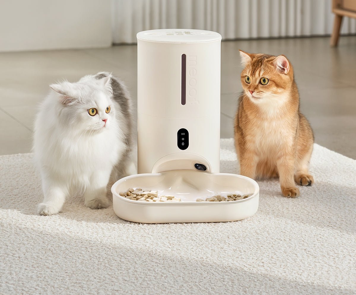 Smart Pet Feeder with Camera