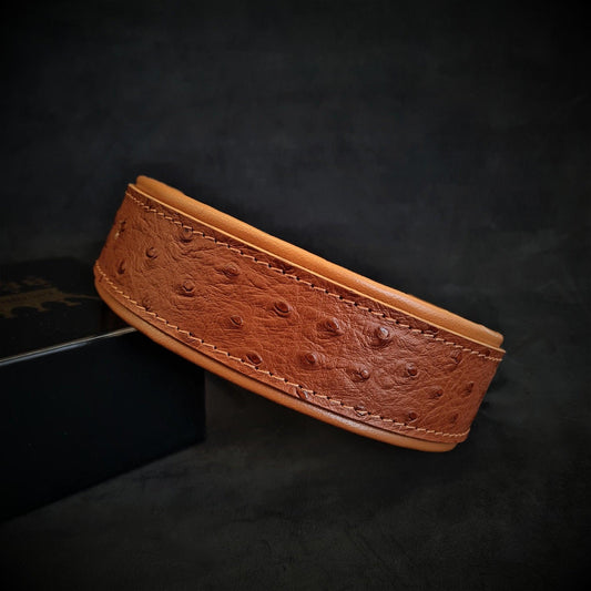 The "Ostrich" collar LIMITED